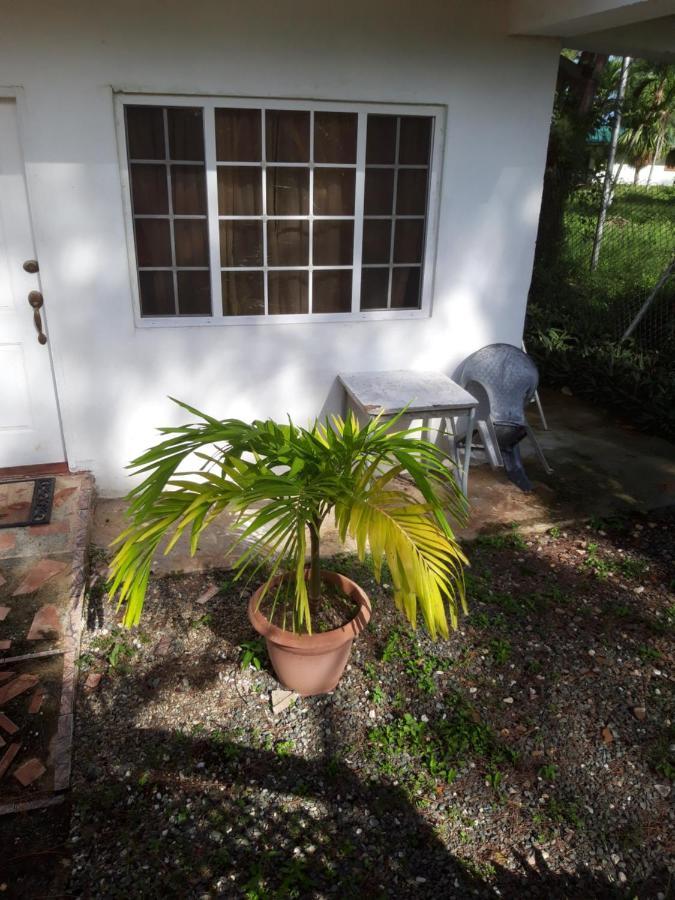 Tranquil Guest House Buccoo Exteriér fotografie